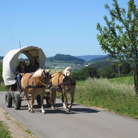 Urlaubspension 'Hohes Rott' Und Apartmenthaus Heiligenstadt 외부 사진