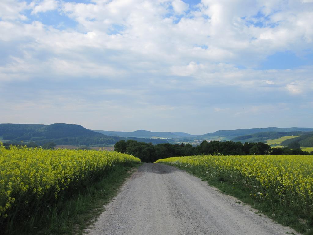 Urlaubspension 'Hohes Rott' Und Apartmenthaus Heiligenstadt 외부 사진